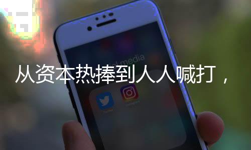 从资本热捧到人人喊打，植物肉到底做错了什么？